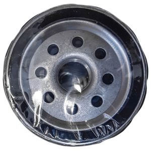 فیلتر روغن کاسپین مدل 001325 مناسب برای ام وی ام X22