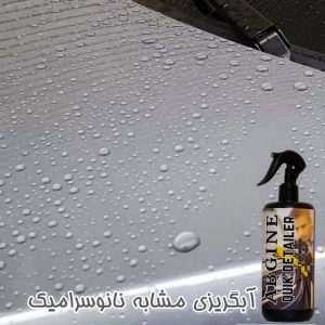 اسپری نانو آبگریز و براق کننده بدنه خودرو آبگینه مدل Quick Detailer حجم 500میلی لیتر