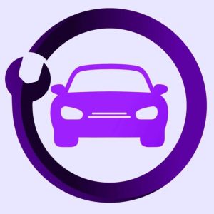 درپوش وسط رینگ خودرو چیکال مدل K-329 مناسب سوزوکی ویتارا