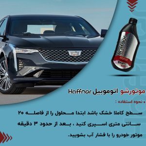 موتور شوی هافنر مدل 123 – پاکسازی کامل موتور خودرو