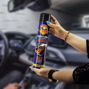 اسپری براق کننده داشبورد و لاستیک تام کلین مدل TC-CP750N12 حجم 750 میلی لیتر